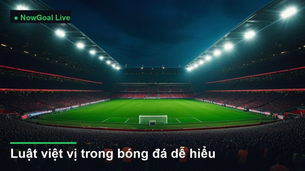 sân vận động bóng đá về đêm dưới ánh đèn pha - luật việt vị trong bóng đá dễ hiểu