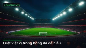 sân vận động bóng đá về đêm dưới ánh đèn pha - luật việt vị trong bóng đá dễ hiểu